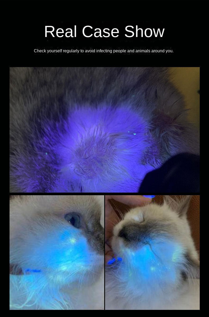 SnortSquad - Fake Currency Detection Feline Fungus Black Light Bulb: Multifunctional Pet Care Tool