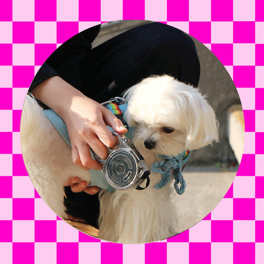 SnortSquad - Rainbow Automatic Retractable Leash: Stylish & Functional Pet Accessory