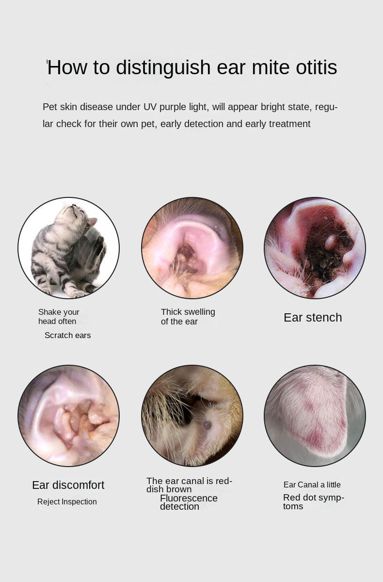 SnortSquad - Fake Currency Detection Feline Fungus Black Light Bulb: Multifunctional Pet Care Tool